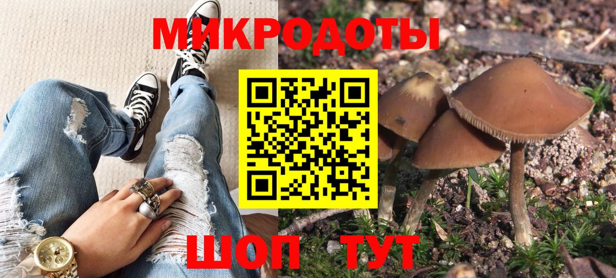 Кимовск  Псилоцибиновые грибы мицелий  Вход с VPN  Псилоцибиновые грибы мицелий 