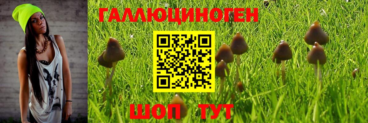 Галлюциногенные грибы Cubensis Кимовск